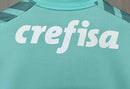 Camisa Palmeiras Goleiro 2024/25 - Puma Torcedor Masculina - Verde