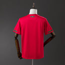 Camisa Portugal 2010 - Versão Retrô