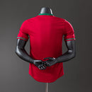 Camisa Portugal Retrô 2012  - Versão Jogador