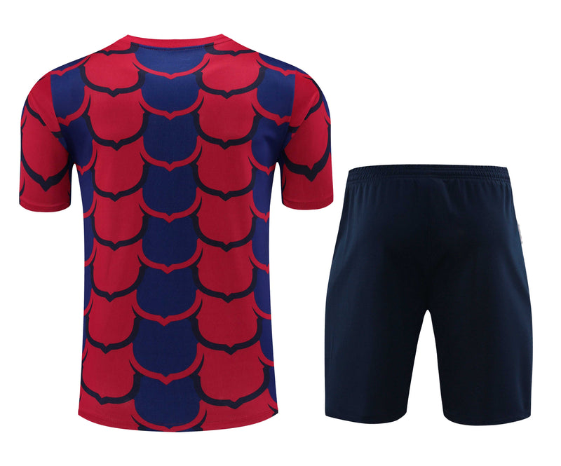 Kit Treino (Camisa + Shorts) - Barcelona 2024/25