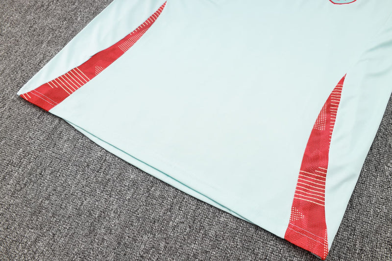 Kit Treino (Camisa + Calça) - Espanha 2024/25