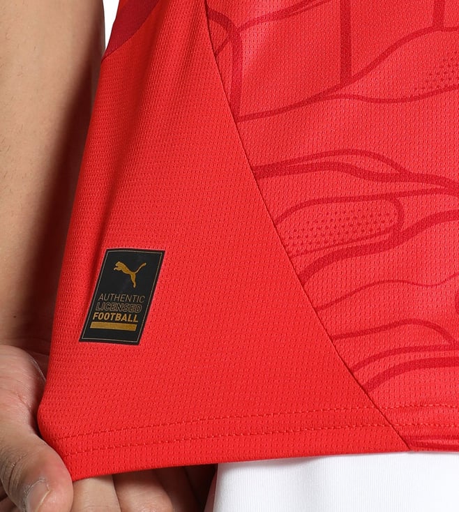 Camisa Áustria 2024/25 - Torcedor Masculino