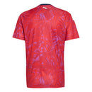 Camisa Costa Rica Home 2026 - Versão Torcedor