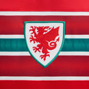 Camisa País de Gales Home 2026 - Versão Torcedor